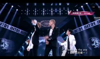 kittychicha kittychicha